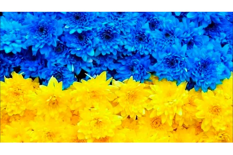 ВАШ ВНЕСОК